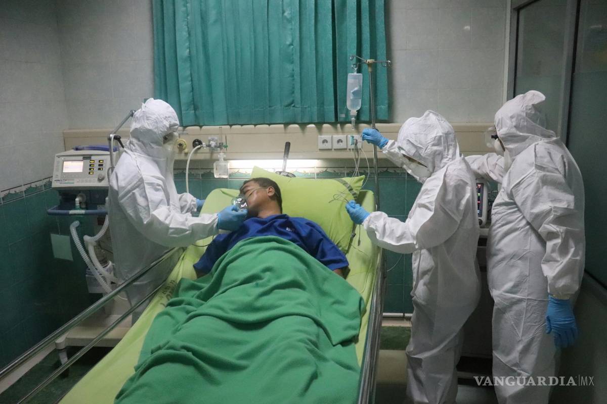 $!Este microorganismo fue identificado por primera vez en 2009 en Japón y, desde entonces, ha sido detectado en varios países, incluido México.