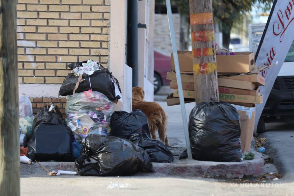$!Este miércoles el servicio de recolección operará de manera habitual en sus dos turnos.