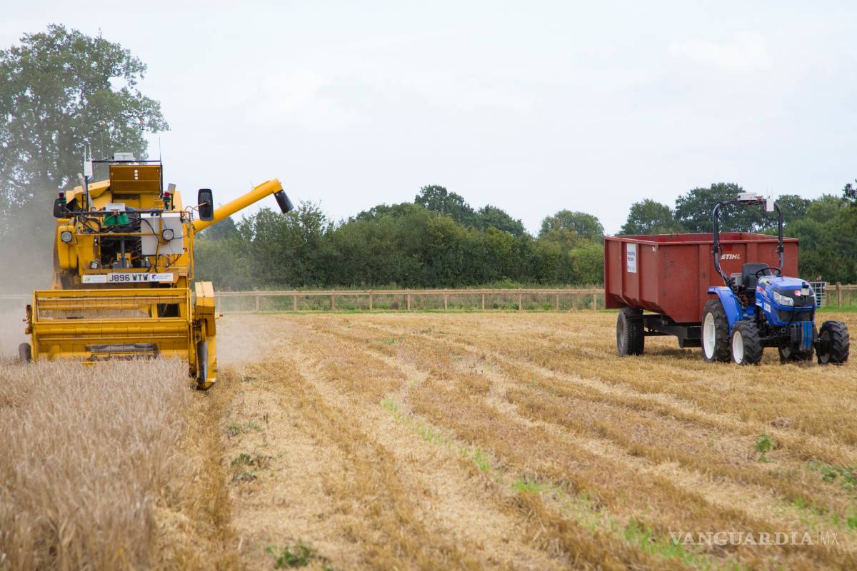 $!Hands Free Hectare , la primera granja automatizada