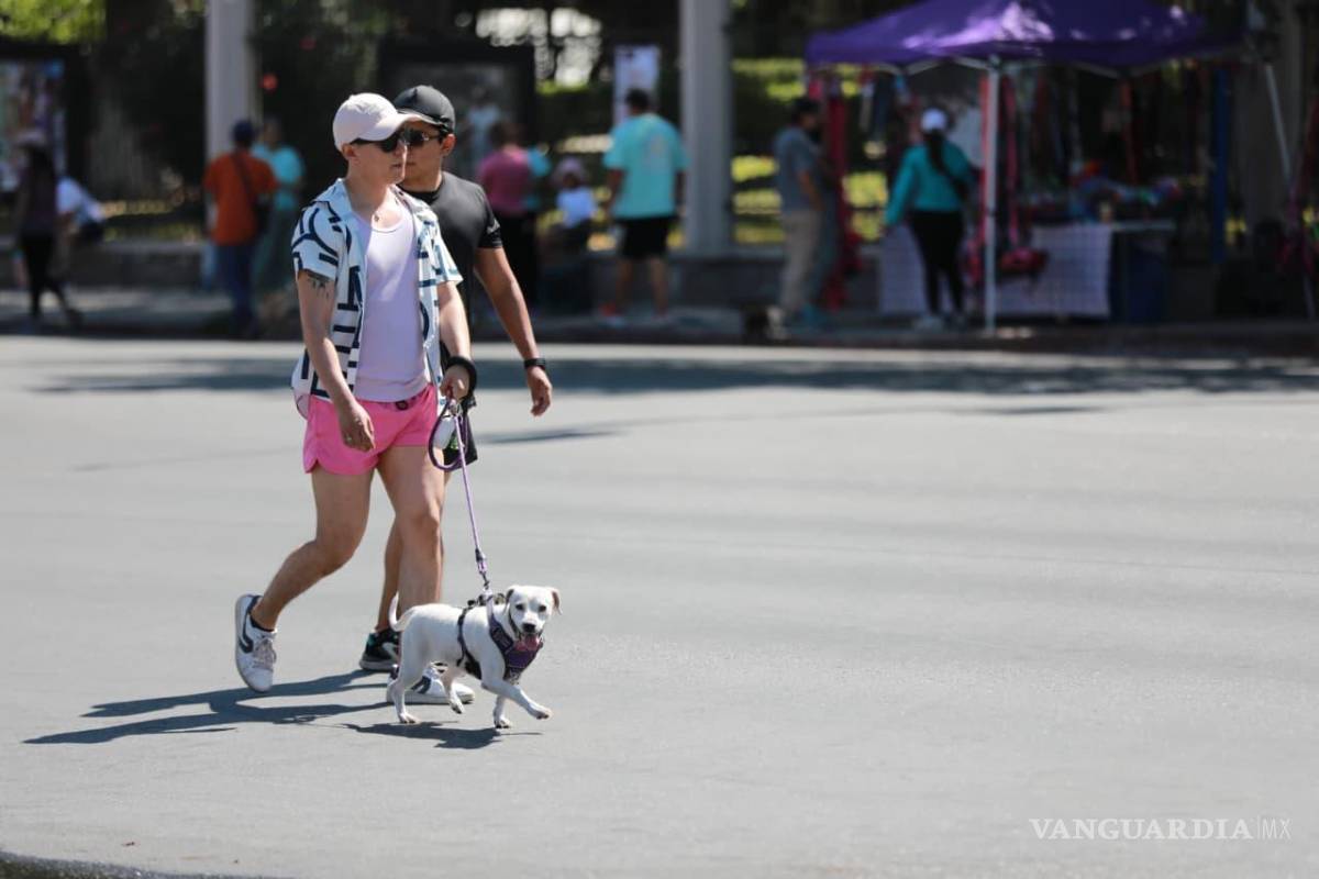 $!Muchas personas acudieron acompañadas de sus mascotas para disfrutar del espacio recreativo.