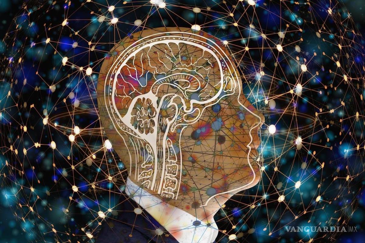 $!“Seremos capaces de entender mejor cómo el cerebro se desarrolla, envejece y sufre enfermedades”, dijo Joseph Ecker