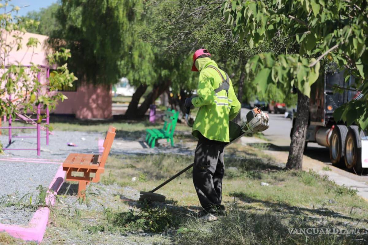 $!Plazas de Jardines Coloniales fueron atendidas con trabajos de deshierbe y limpieza.
