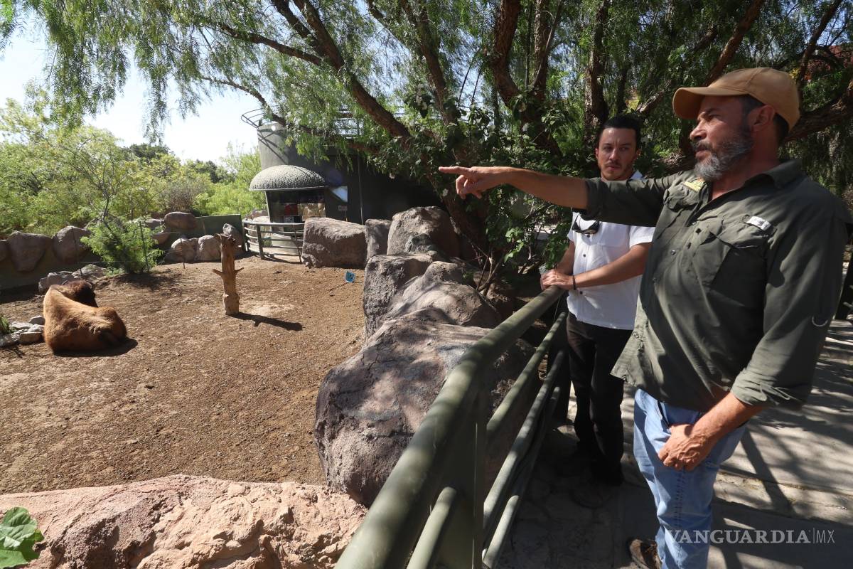 $!El proyecto de ecoturismo busca concienciar a la comunidad sobre la importancia de la restauración ecológica y la preservación de especies.