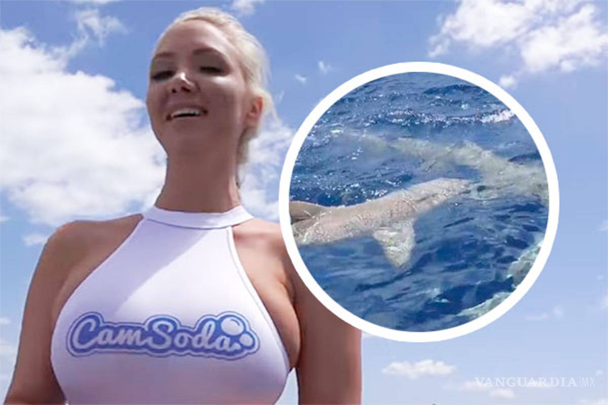 Tiburón atacó a actriz porno cuando filmaba un comercial