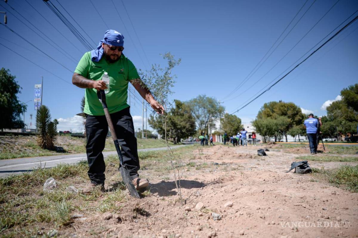 $!Se plantaron especies como mezquite, retama, anacahuita, fresno, anacua y palo blanco.