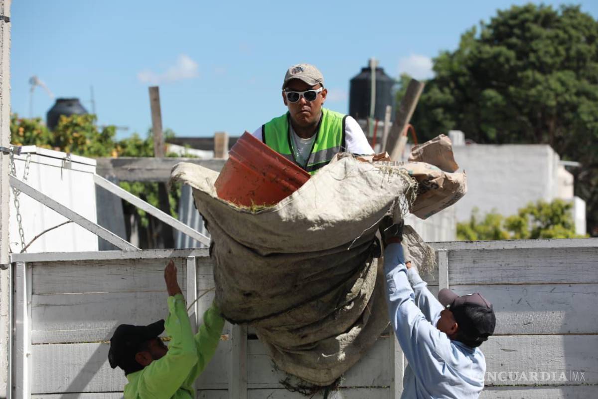 $!Las brigadas del programa “Aquí Andamos” reforzaron acciones de mantenimiento en colonias, vialidades y espacios públicos de Saltillo.