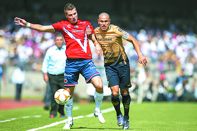 Saldrá Veracruz a matar o morir