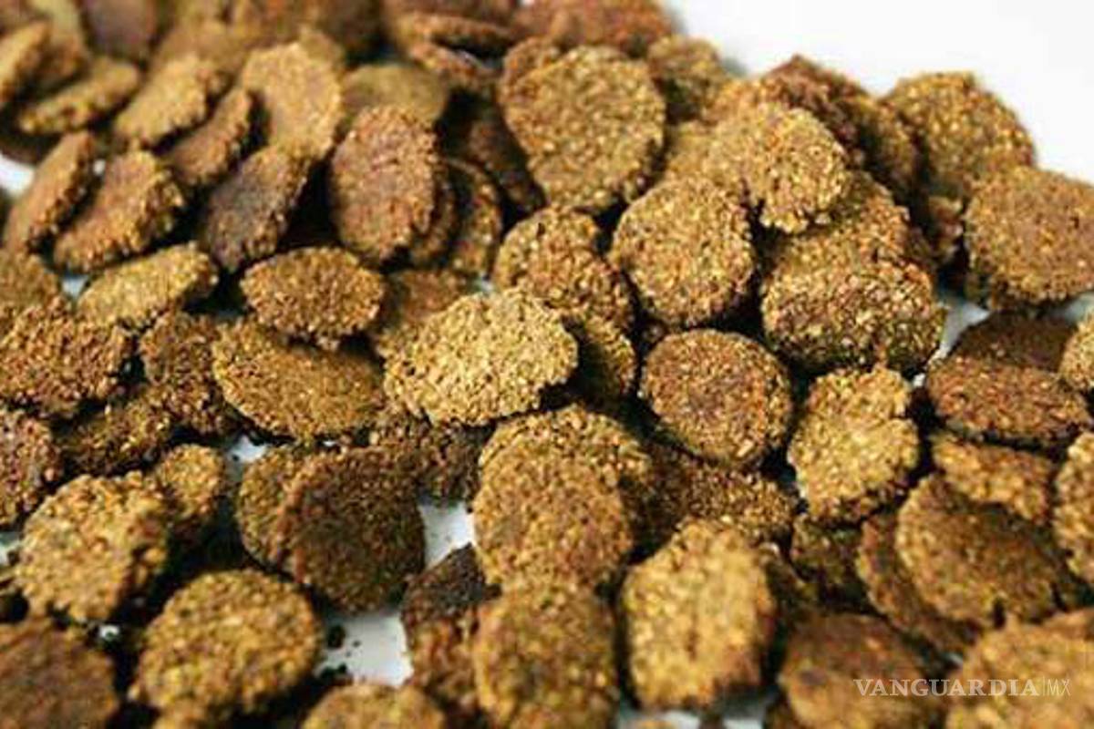 Estudiantes del Politécnico crean un cereal de cáscara de sandía más nutritivo que los comerciales