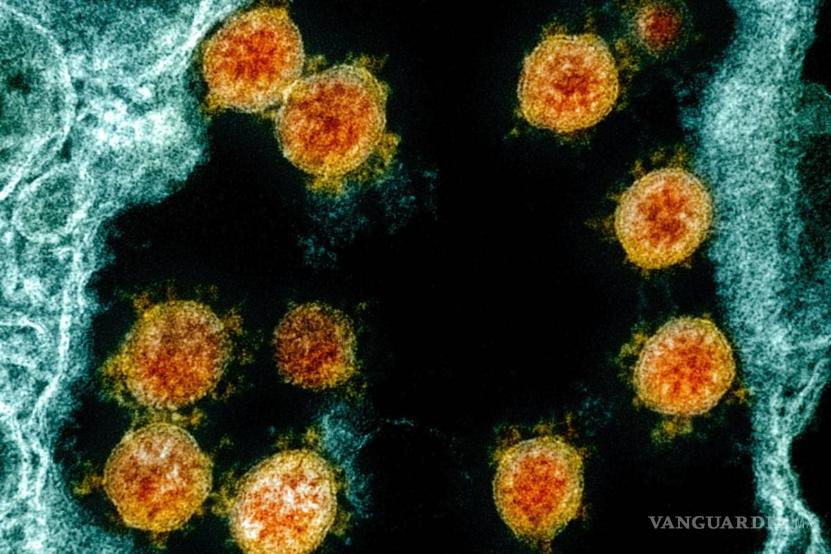 Estudios hallan que el cáncer y COVID-19 son mezcla muy peligrosa