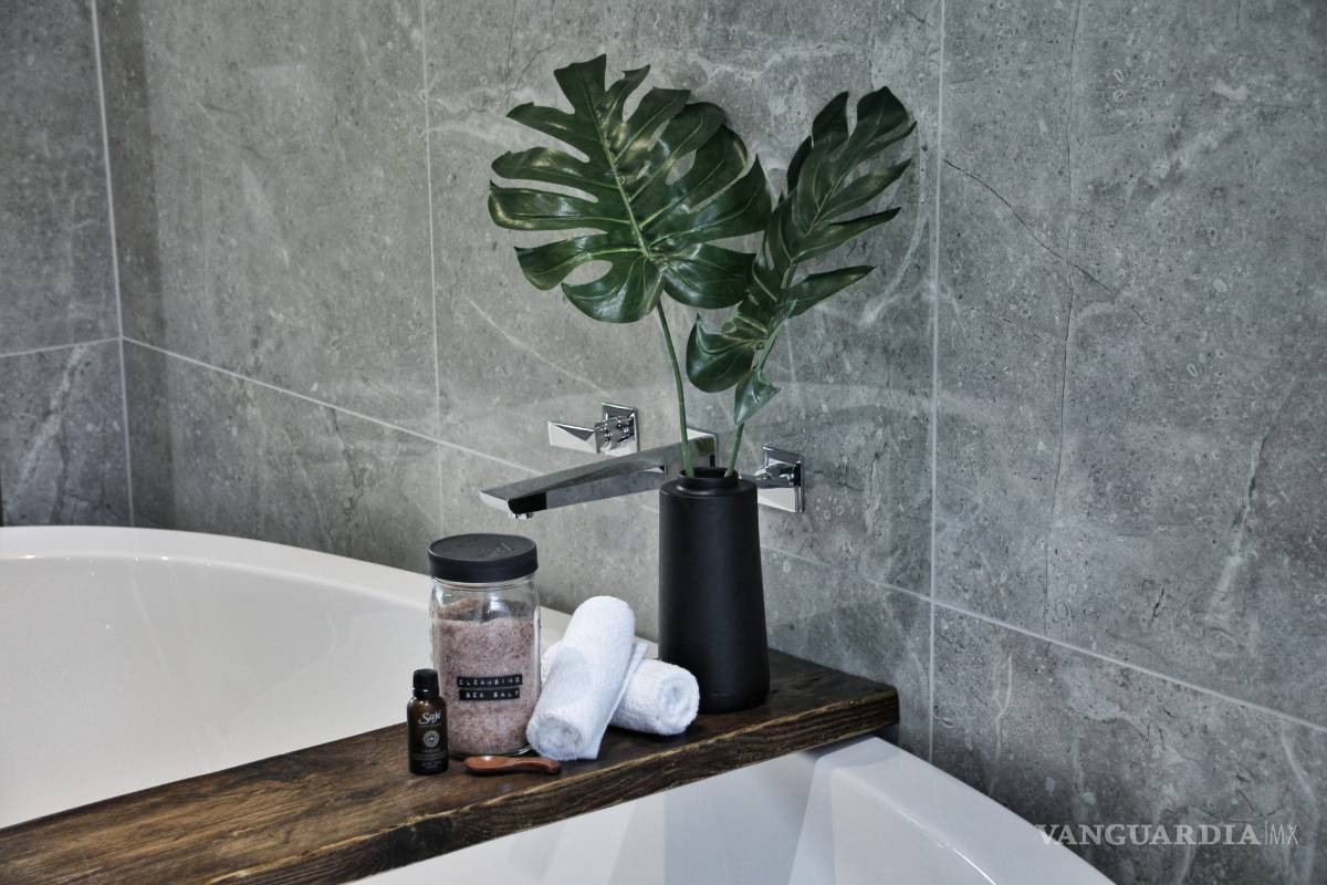 $!¡Duraderas y fáciles de cuidar! Las mejores plantas para decorar el baño, la cocina y hasta la recámara