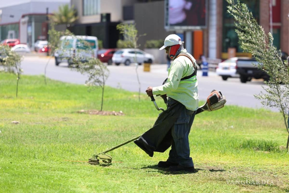$!Las labores de mantenimiento incluyeron deshierbe, limpieza y retiro de residuos en áreas verdes y espacios públicos de distintos sectores de Saltillo.