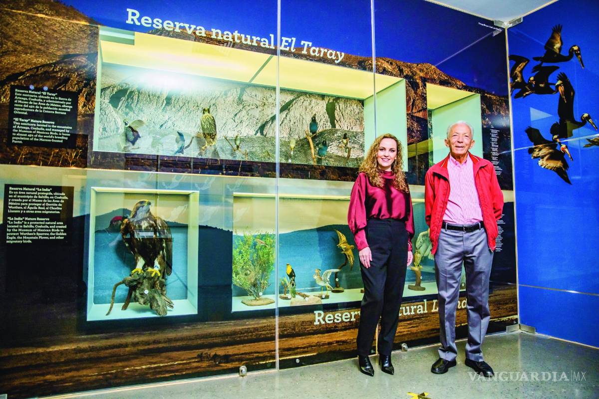 Museo de las Aves: Conocer para valorar y conservar