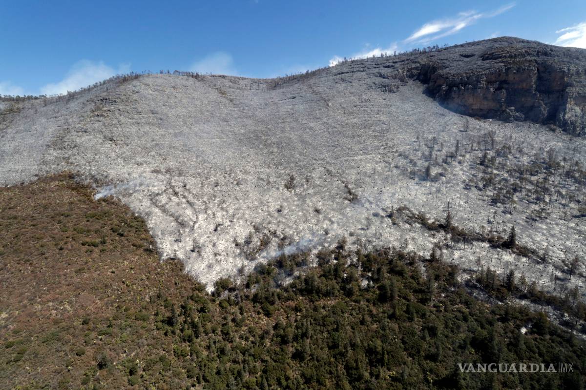 Propone diputada de Coahuila 'revivir' el Fonden