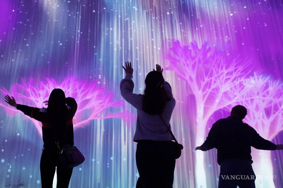 $!Visitantes del ARTECHOUSE pueden sentir el espíritu de la aurora boreal