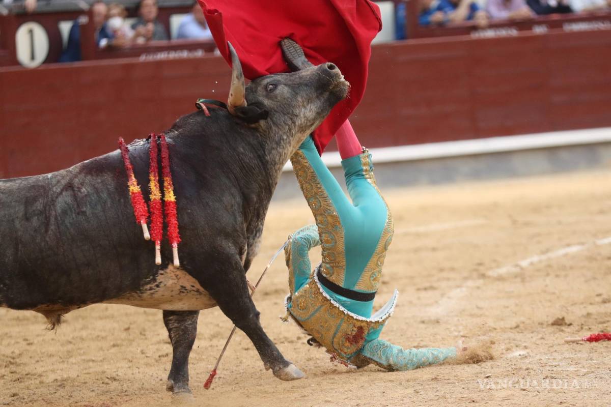 $!El novillero Arturo Gilio sufre una cogida de su segundo toro este lunes, durante la primera novillada de la Feria San Isidro 2022 en la Plaza de Las Ventas de Madrid.