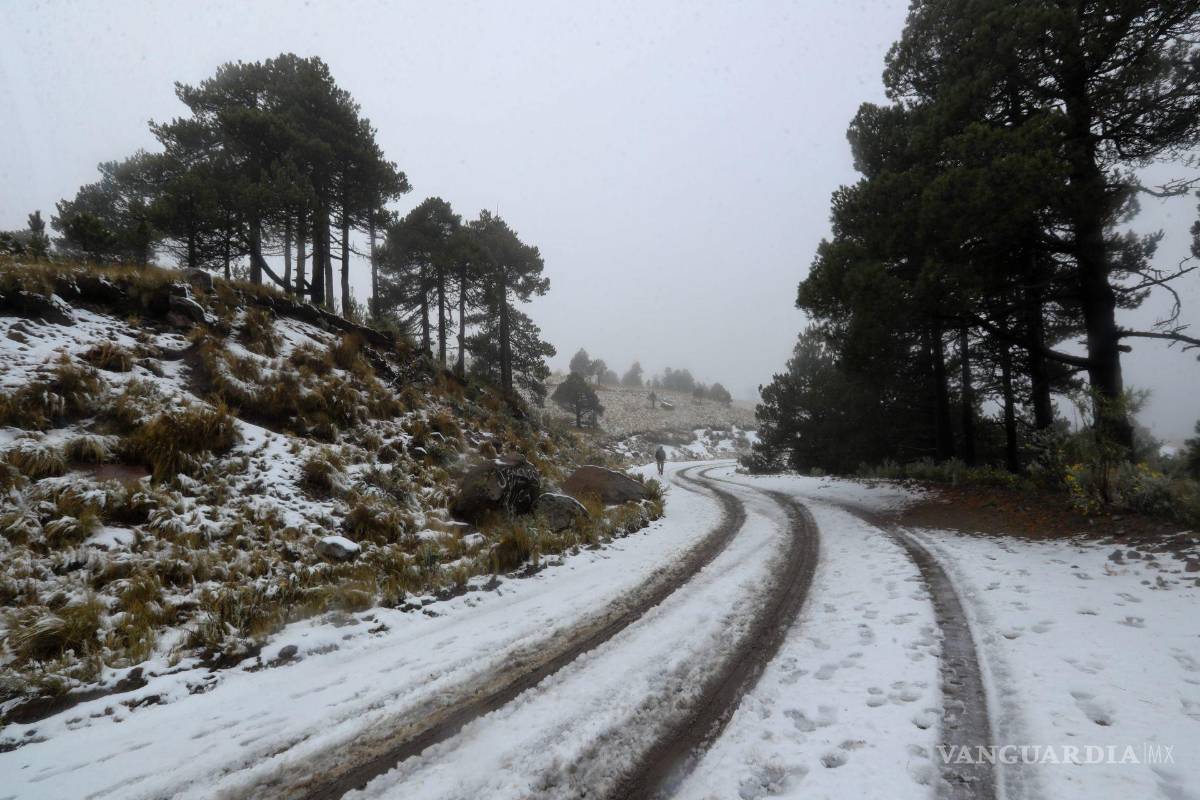 ¿Quieres divertirte en la nieve? Estos lugares de México debes visitar