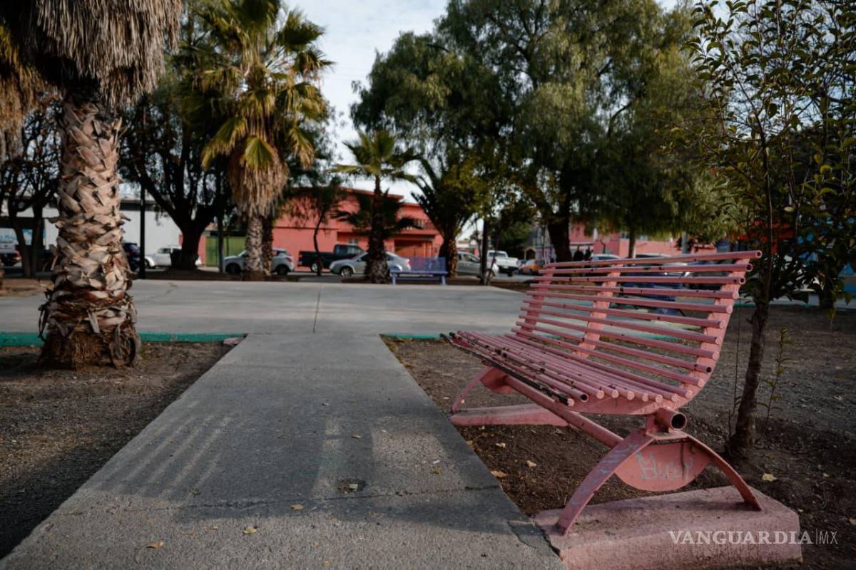 $!Con una inversión de 500 mil pesos, el proyecto contempla pasto sintético, iluminación, rampas, reforestación y mejoras integrales.