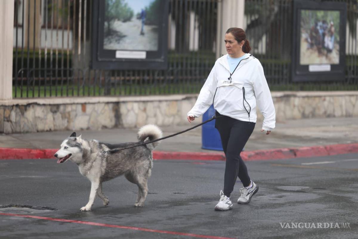 $!Durante la jornada también se ofrecieron servicios gratuitos para animales de compañía.