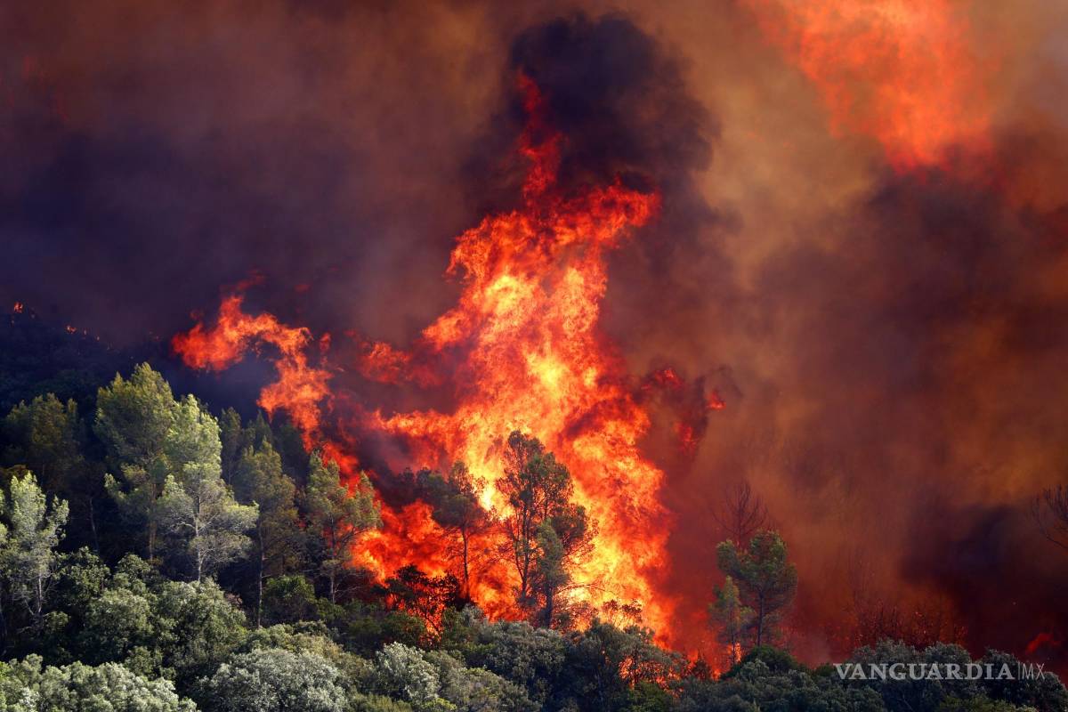 $![(Incendio, Francia) EFE/EPA/Guillaume Horcajuelo]