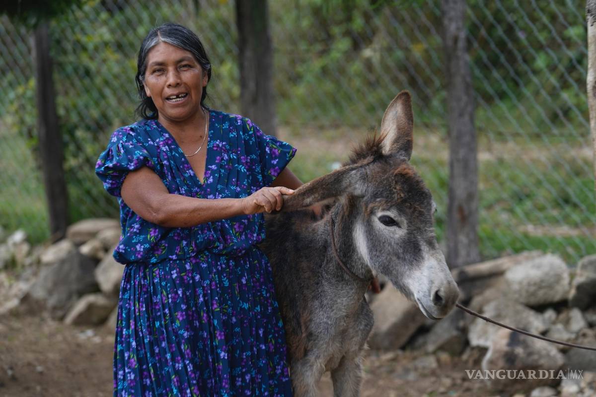 $!Cuando le preguntan sobre las dos mujeres que buscan la presidencia, Julia Méndez asegura de que una mujer sepa qué es ser una buena presidenta.