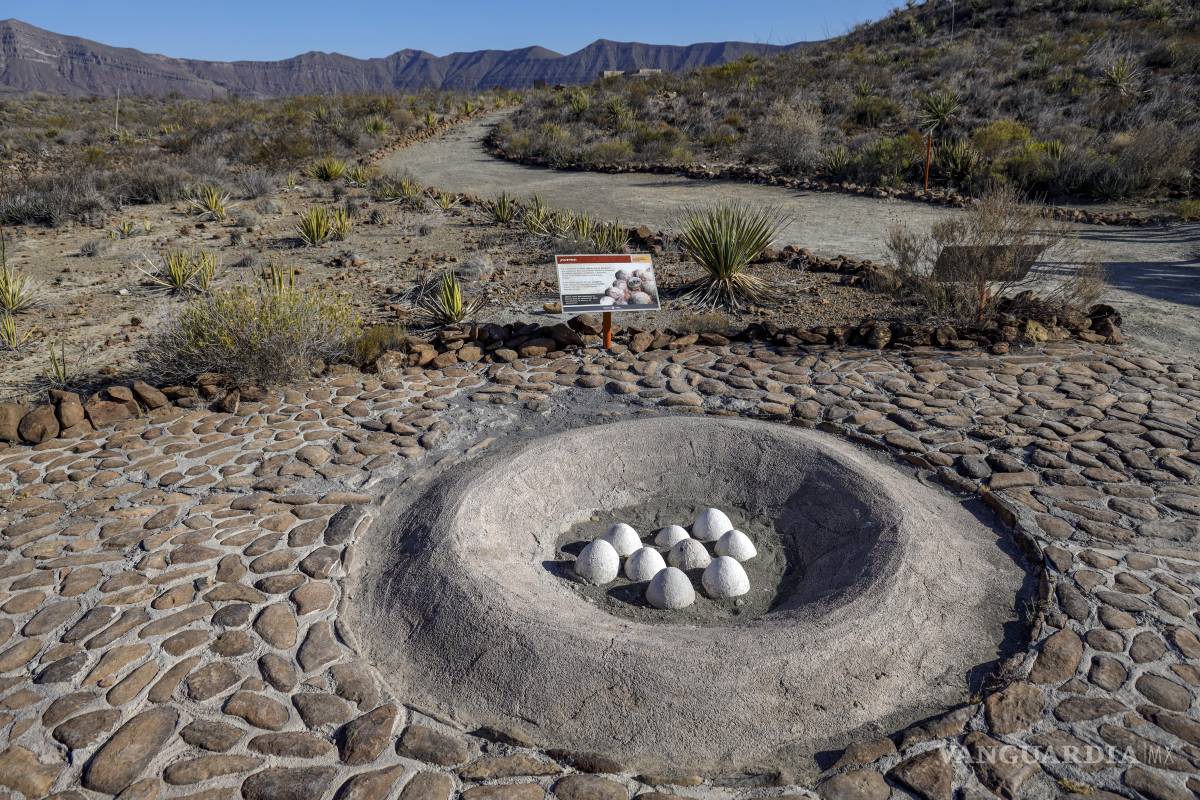 $!Imagendel ejido Rincón Colorado, de General Cepeda, y su zona paleontológica.
