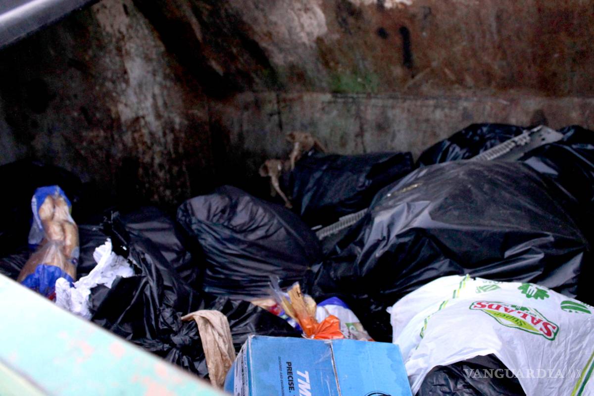 $!'Fruta podrida' para los supermercados; para el Banco de Alimentos de Saltillo, la comida diaria de miles de personas