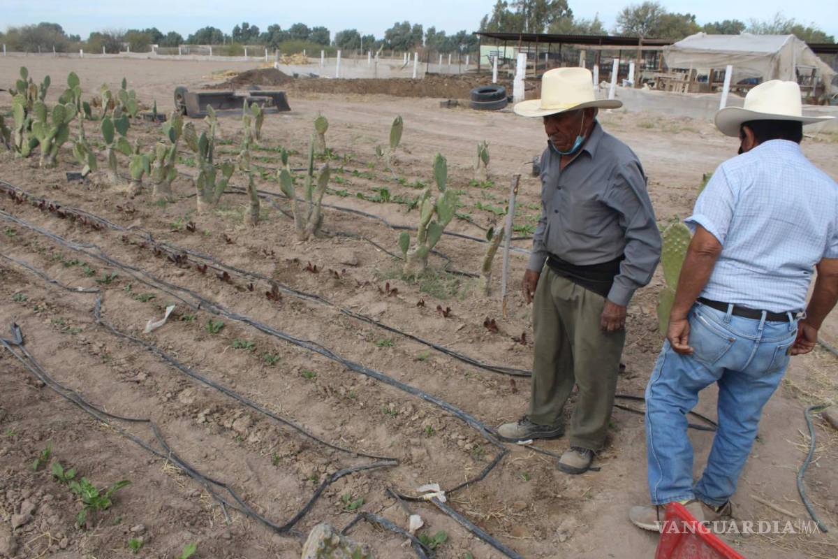 $!El productor social es el menos beneficiado de los programas para el campo.