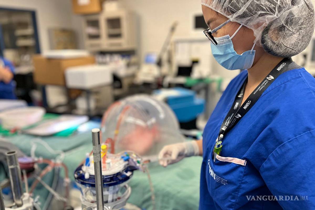 $!El doctor Aizhou Wang, uno de los autores del estudio, demuestra en el laboratorio cómo las enzimas ingresan al sistema de perfusión pulmonar. UHN