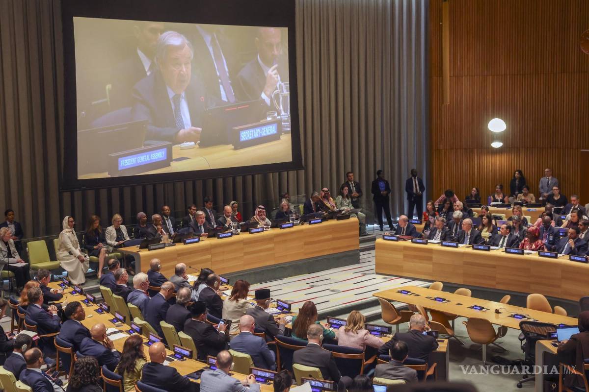 Inicia en la ONU la conferencia para la solución de los dos estados en Medio Oriente