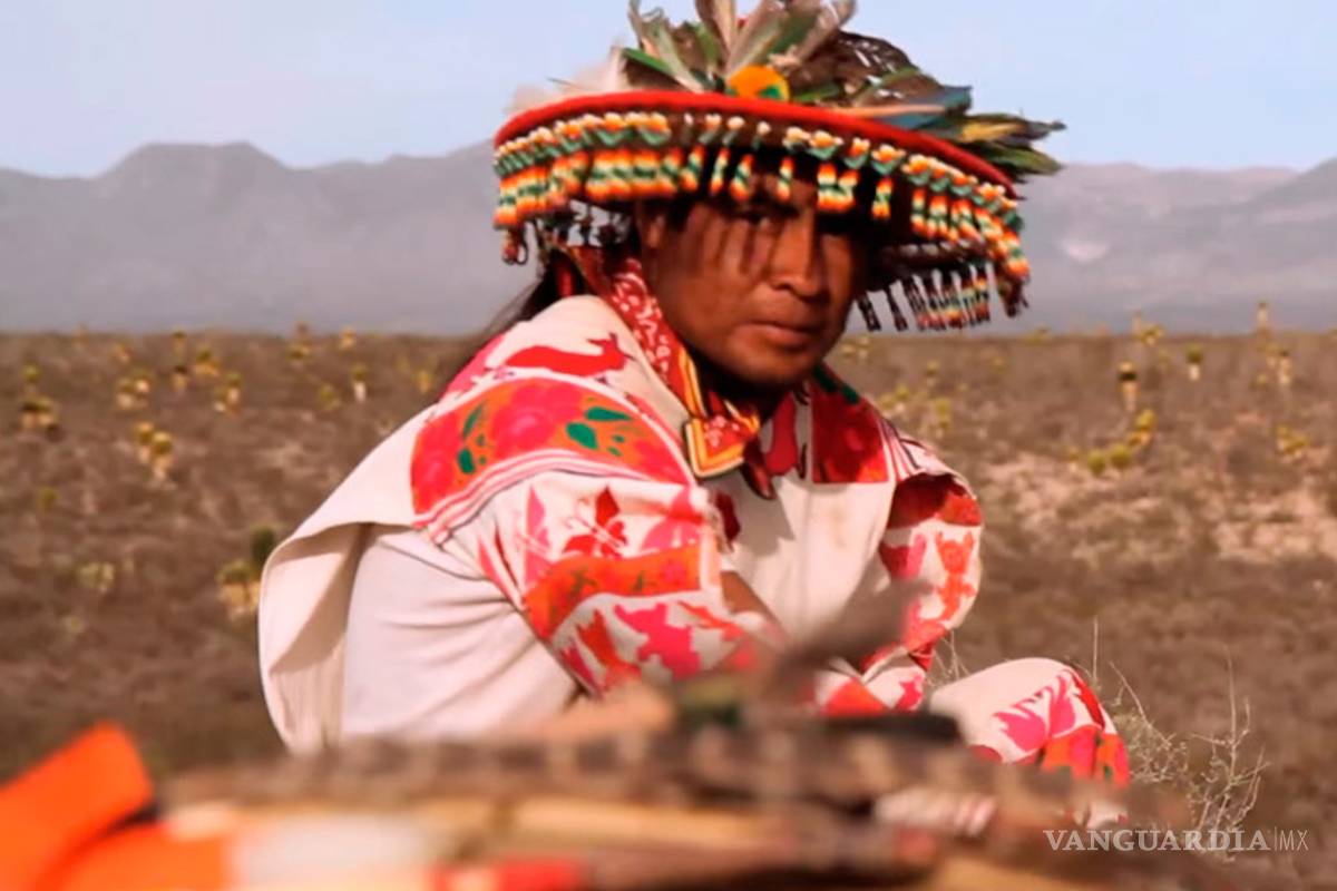 Tras luchar por 9 años, huicholes de Nayarit recuperan 180 hectáreas robadas por ganaderos