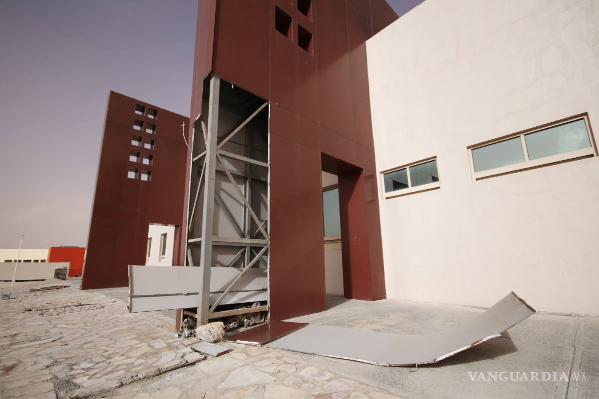 $!Suman 566 árboles derribados en Saltillo por el viento en 2019 y lo que va de 2020