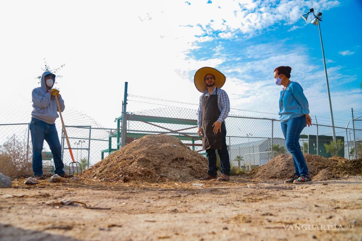 Arranca en Torreón Taller de Composta y Huertos Urbanos