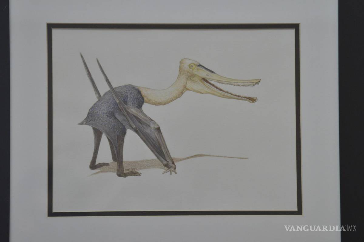 $!Los especialistas advierten que se trata de una especie nueva, de acuerdo con la más reciente edición de la revista alemana Paläontologische Zeitschrift (Revista Paleontológica).