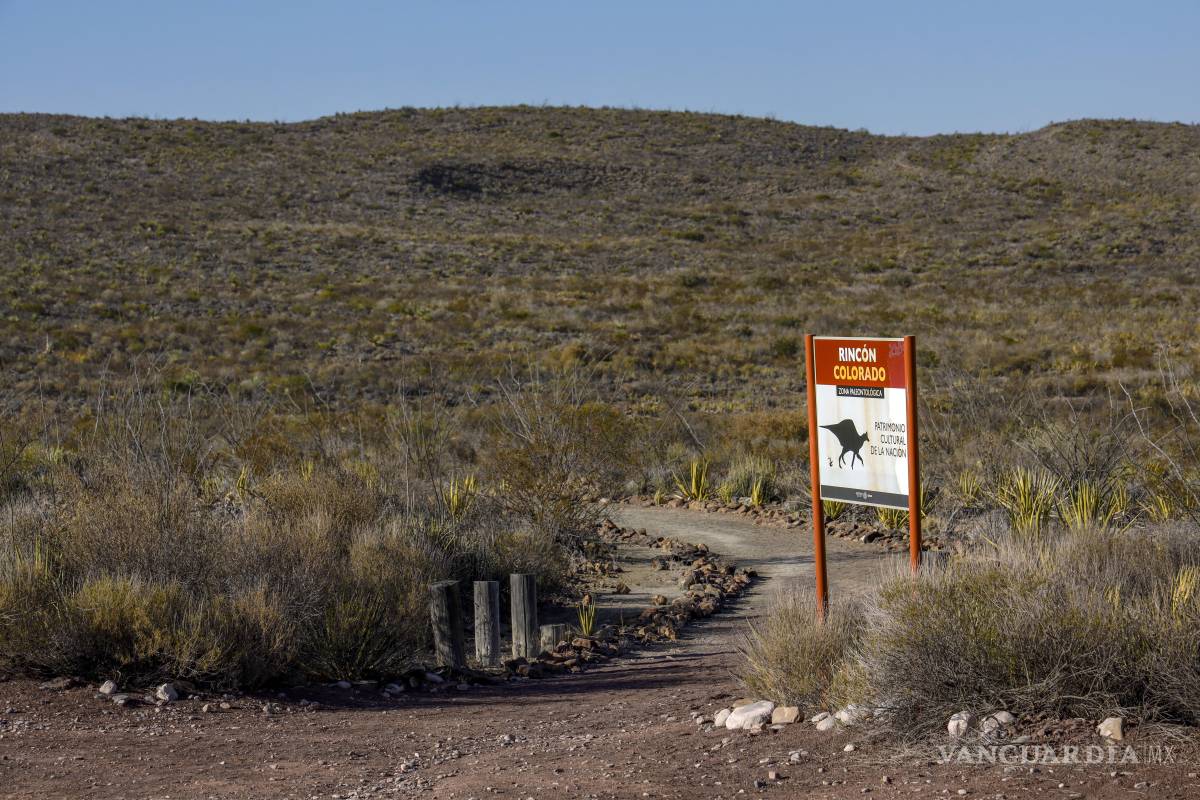 $!Rincón Colorado, la casa de los dinosaurios, es un lugar emblemático en Coahuila que se ha convertido en ruta obligada de los turistas.