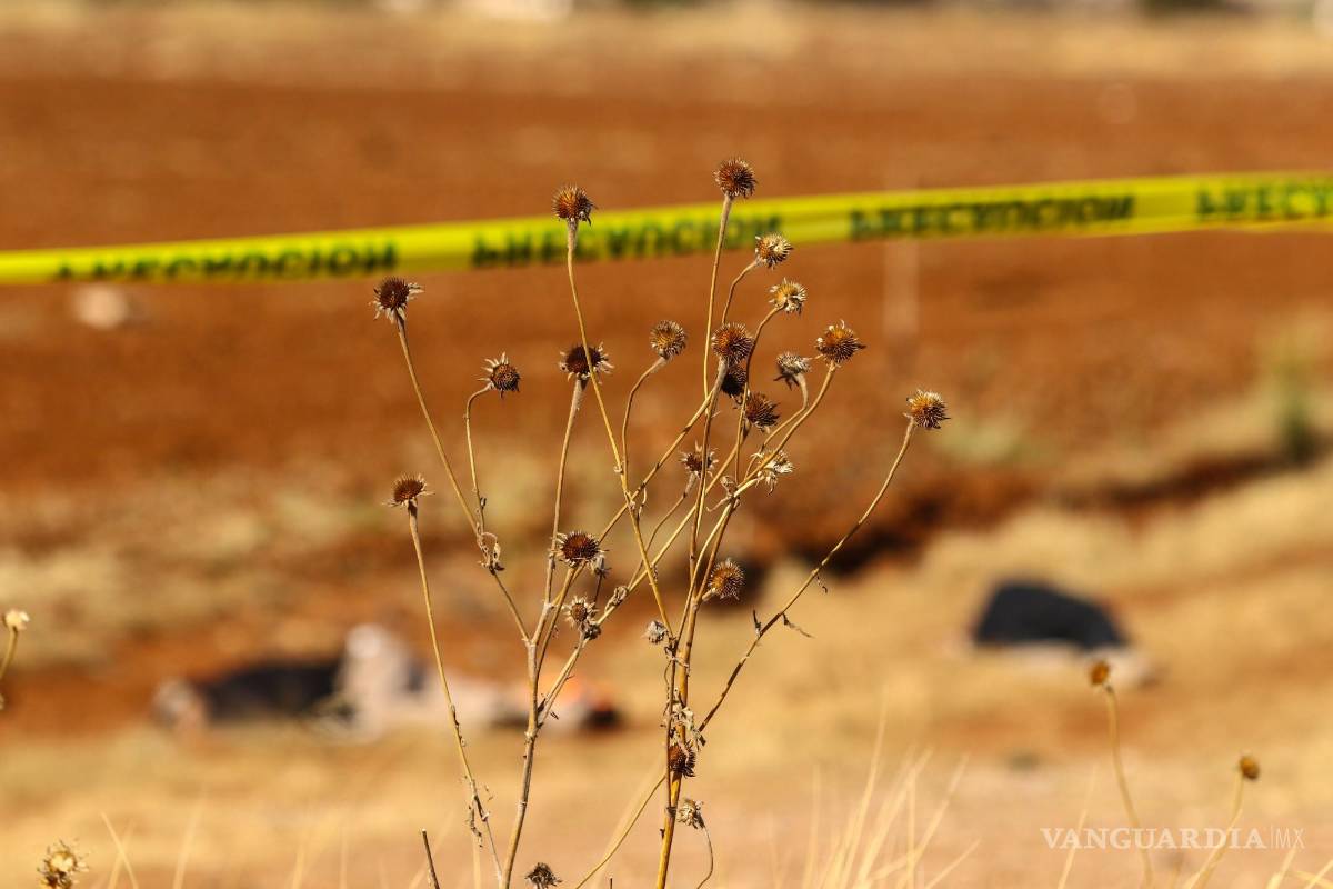 ‘Crimen organizado está matando gente inocente’