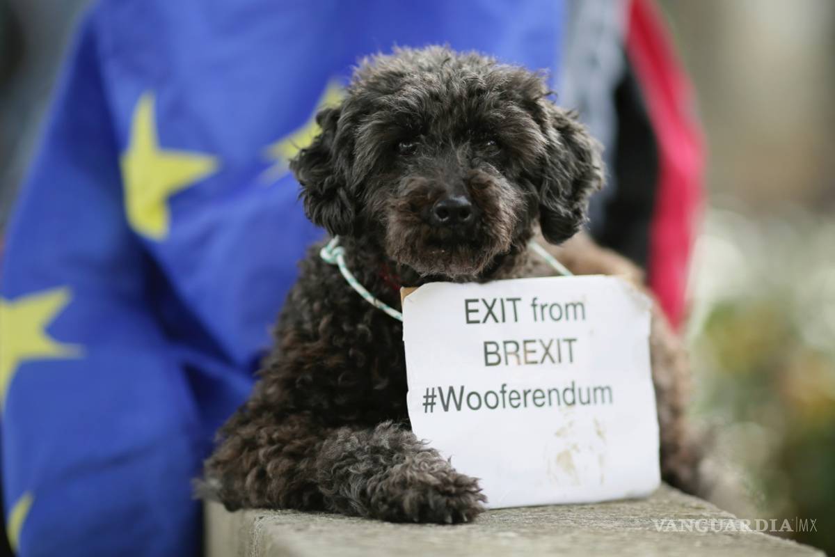 Cientos de perros ladran contra el &quot;Brexit&quot; en Londres