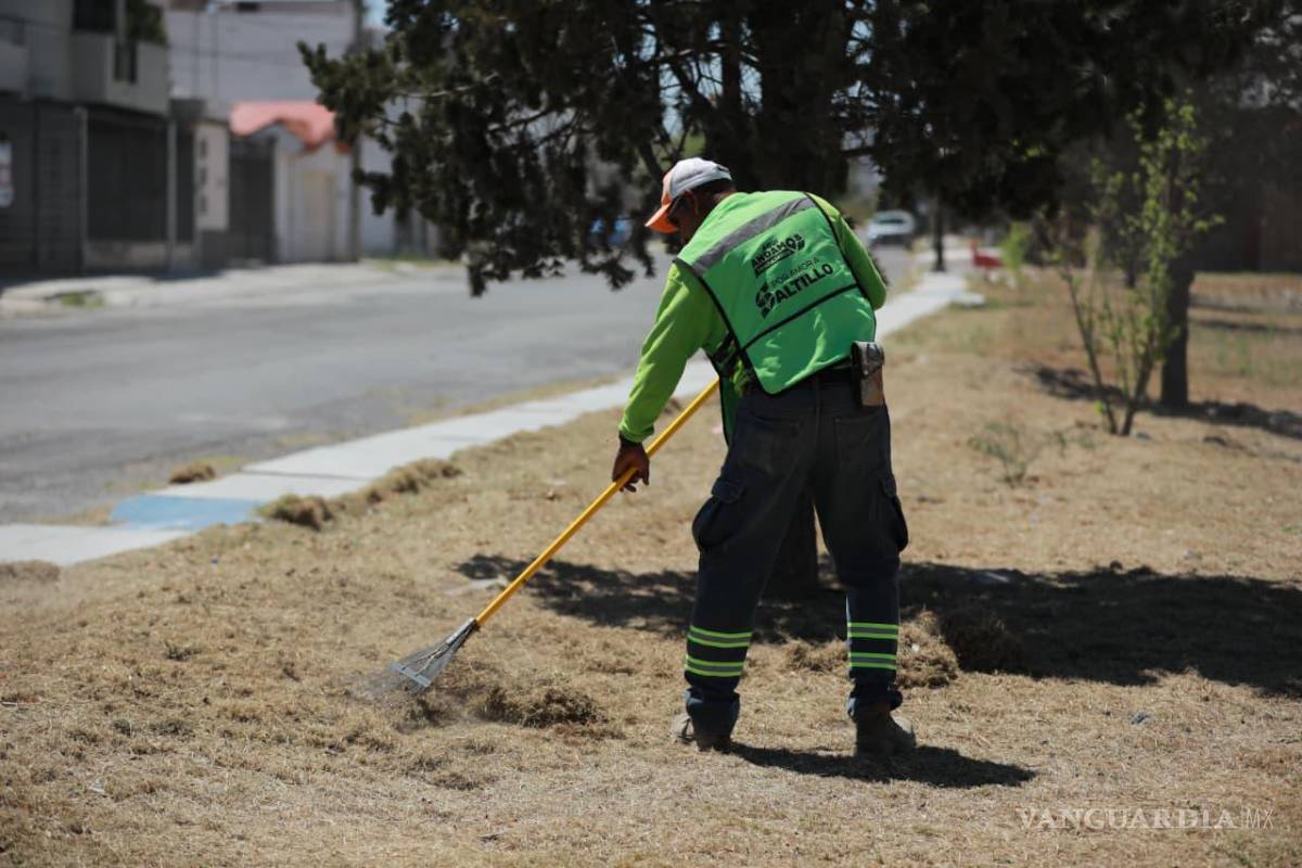 $!Trabajadores realizan limpiezas profundas, retiro de basura y deshierbe.