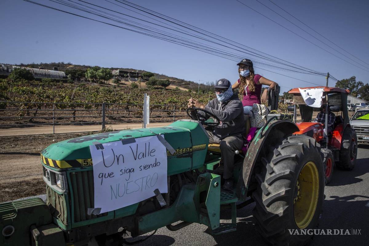 Llaman a salvar el Valle de Guadalupe