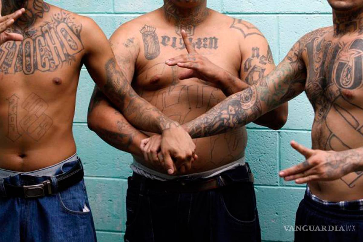 Capturan a 86 integrantes de la Mara Salvatrucha en EU