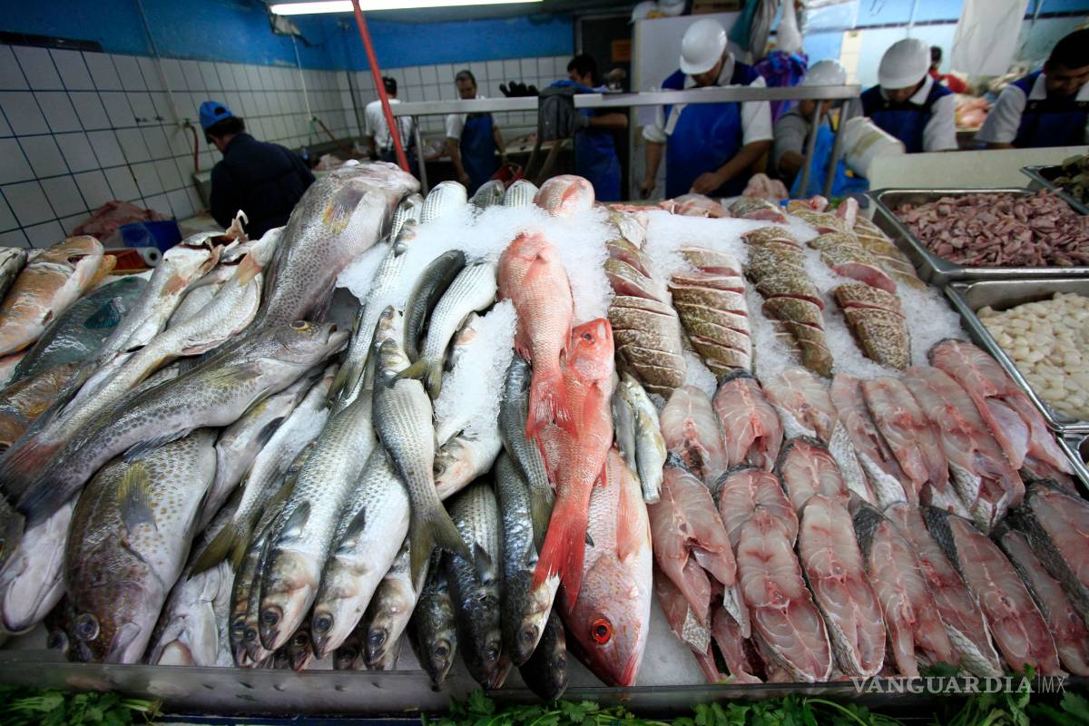 En México dan 'gato por pescado', engañan sustituyendo con especies más baratas