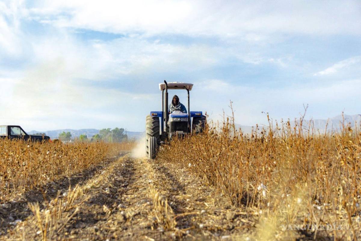 ‘Envejece’ el campo de Coahuila