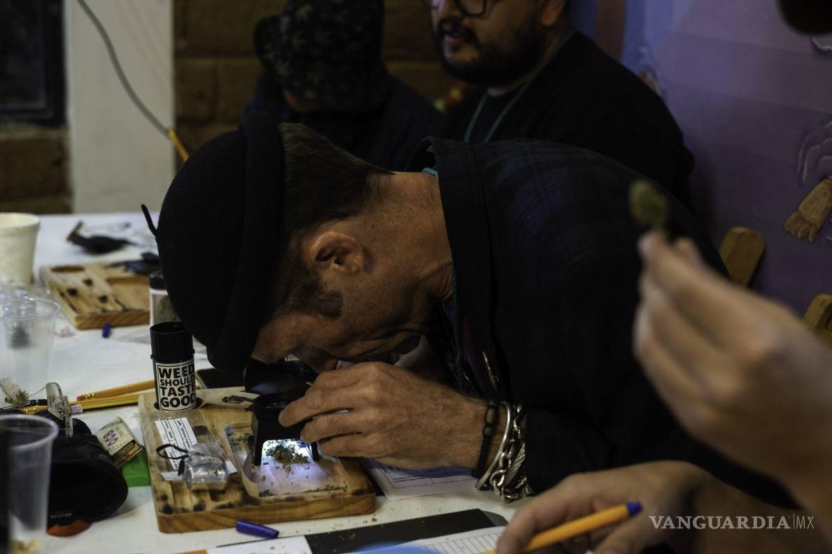 $!Queda prohibido a los trabajadores usar narcóticos o drogas enervantes dentro o fuera de sus horas de trabajo sin prescripción médica, dice la LFT, Capítulo VI “Trabajadores de autotransportes”, Artículo 261, fracción I y II.