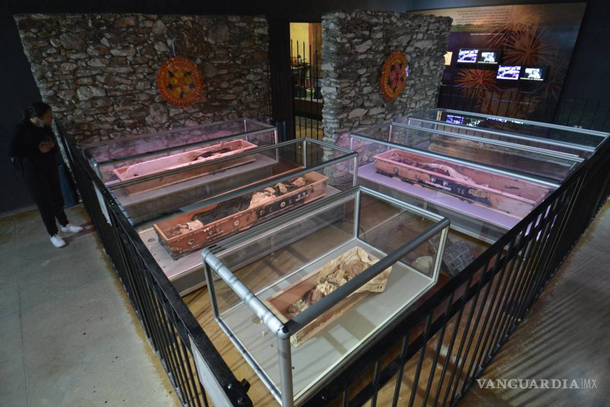 Además del Museo del Desierto, ¿quién es quién entre los museos del Sureste de Coahuila?