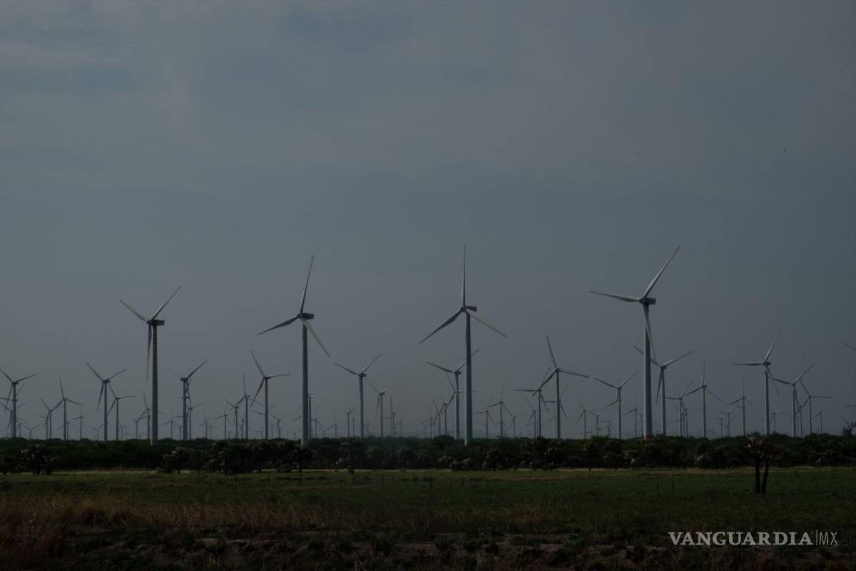 Frenan 25 proyectos de energía eólica en México