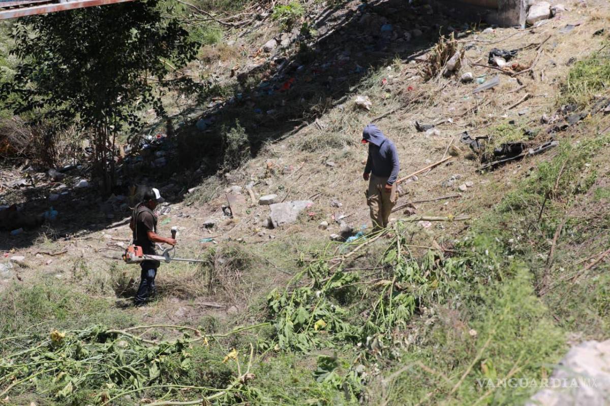 $!En los puntos realizan acciones de poda de árboles, deshierbe y retiro de maleza.