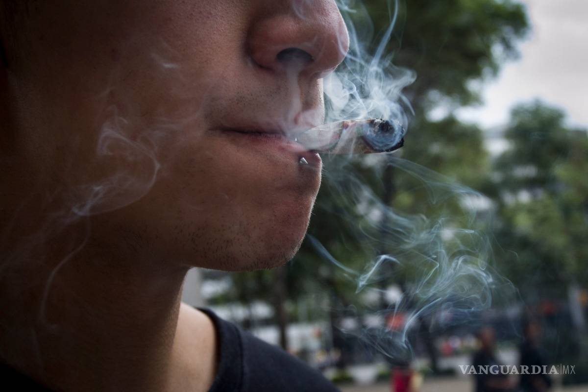 Cofepris rechaza 151 solicitudes para uso recreativo de la mariguana