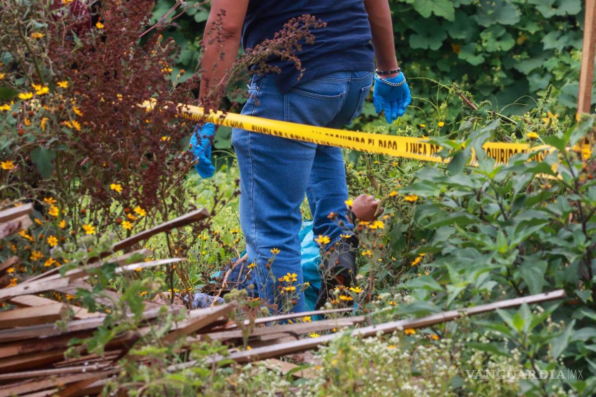 Café Montaigne 313: De AMLO a Sheinbaum nada ha cambiado