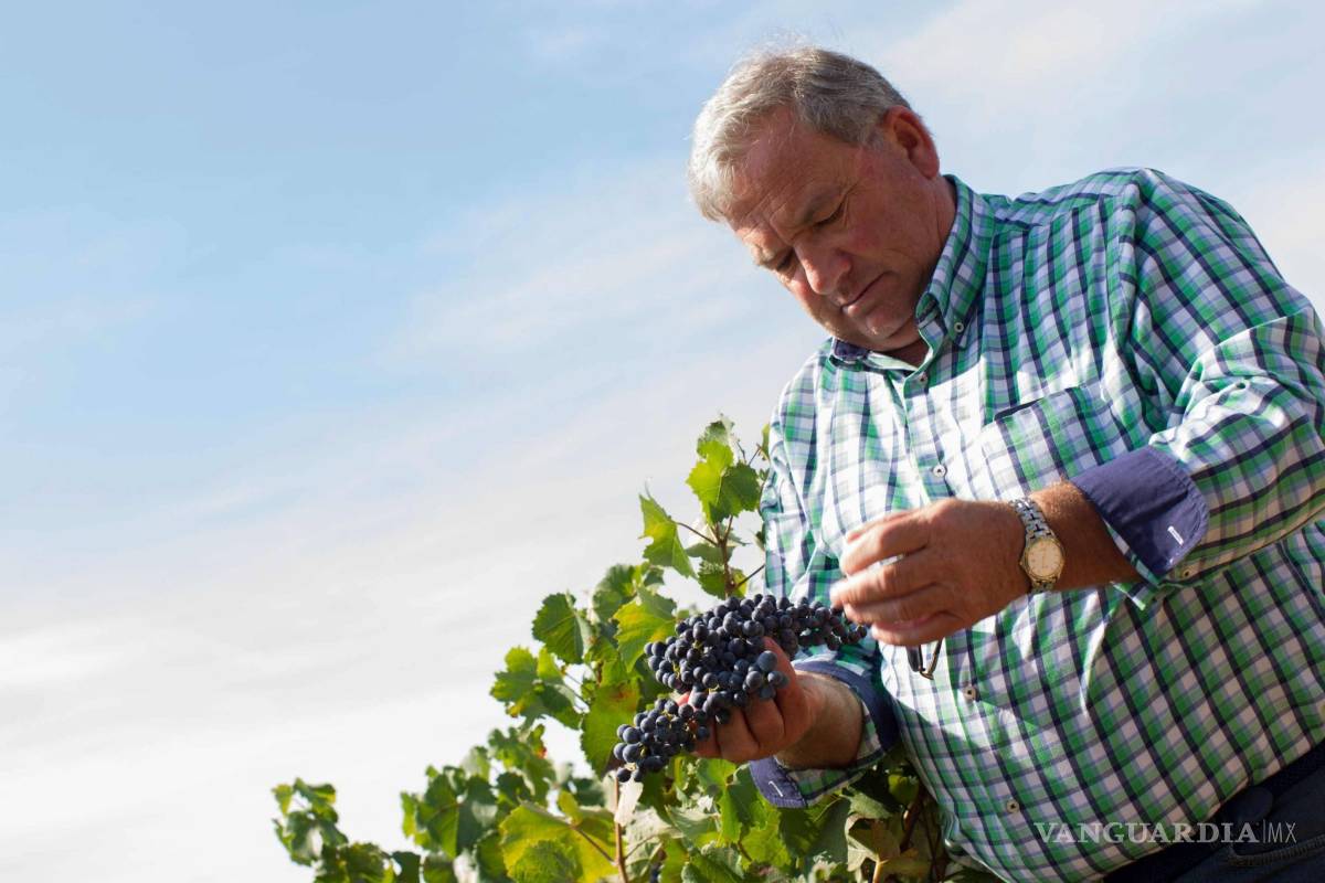 $!Rioja, calidad y filosofía en los vinos