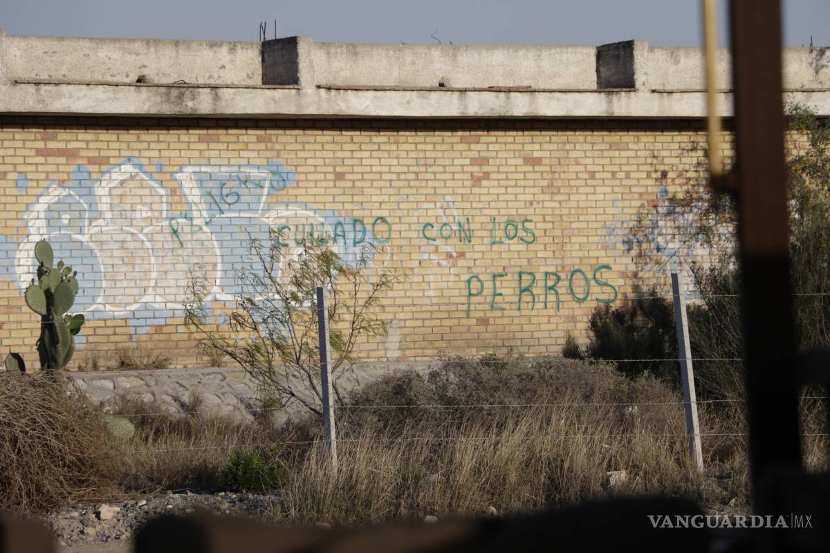 Perros matan a hombre y luego lo devoran en Saltillo, indica necropsia