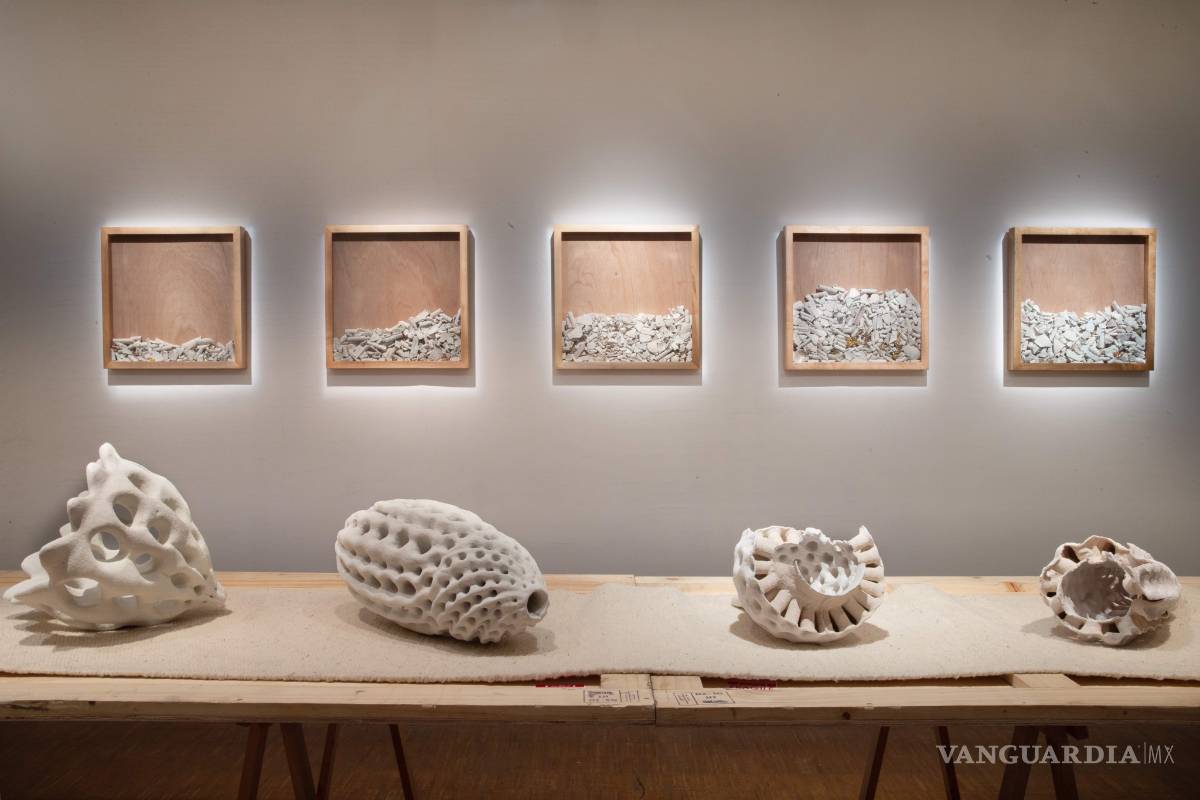 $!‘Extinción continua’: Avelina y Alejandro Fuentes Quezada exponen en Francia